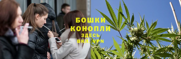 дмт Покровск