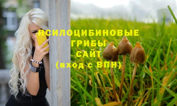 гидра Покров