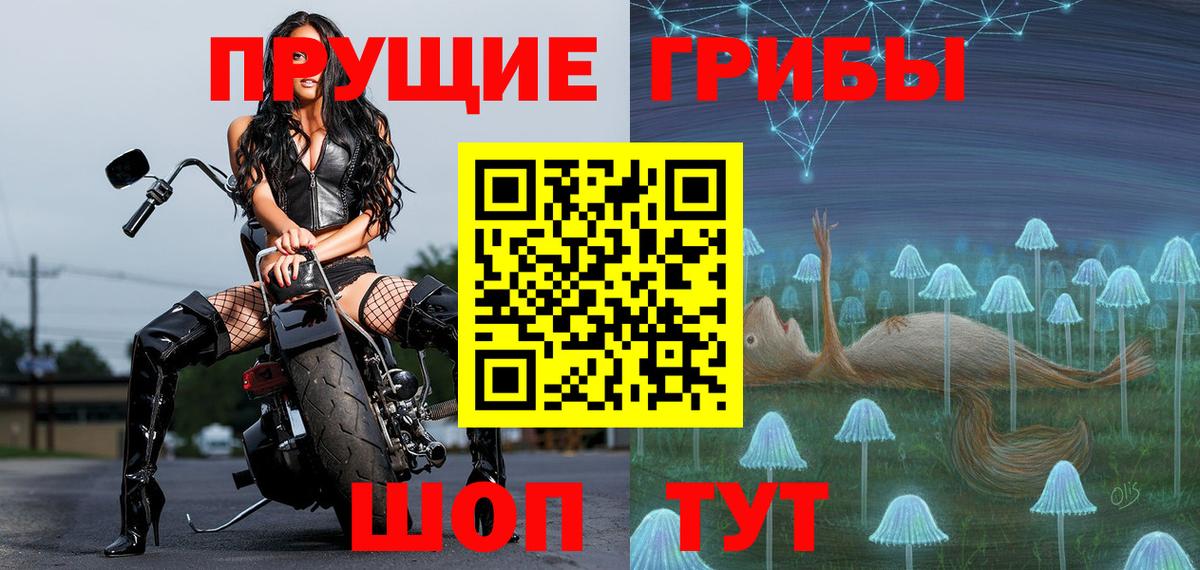 Галлюциногенные грибы мицелий  купить наркоту  Дятьково  Вход с VPN 