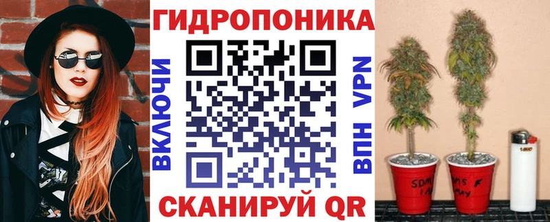 Шишки марихуана марихуана darknet Telegram Дятьково купить